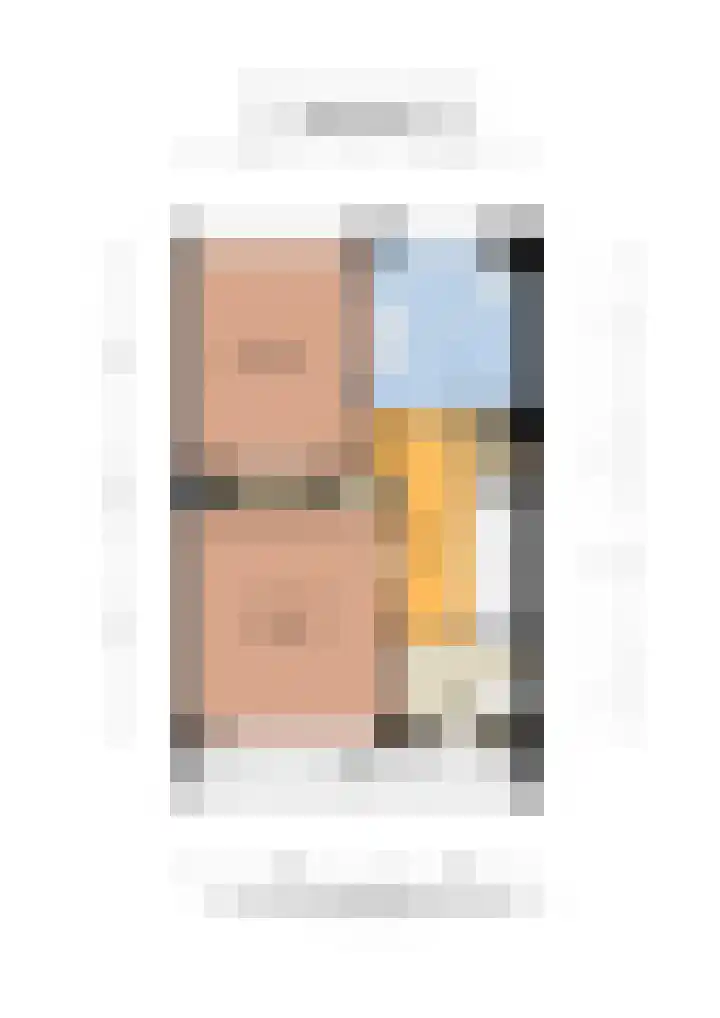 Mr. G. Vixseboxsestraat 29 Holten thumbnail 46