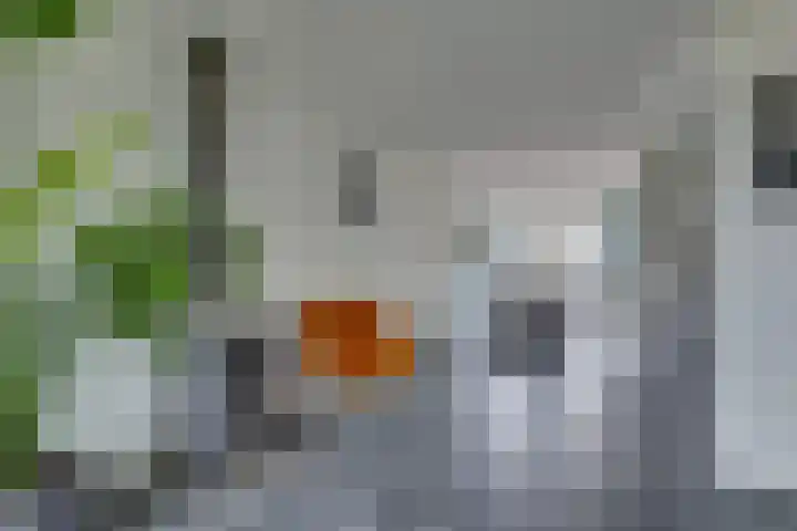 Mr. G. Vixseboxsestraat 29 Holten thumbnail 5