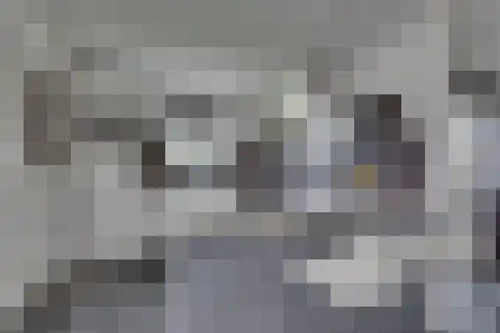 Mr. G. Vixseboxsestraat 29 Holten thumbnail 8