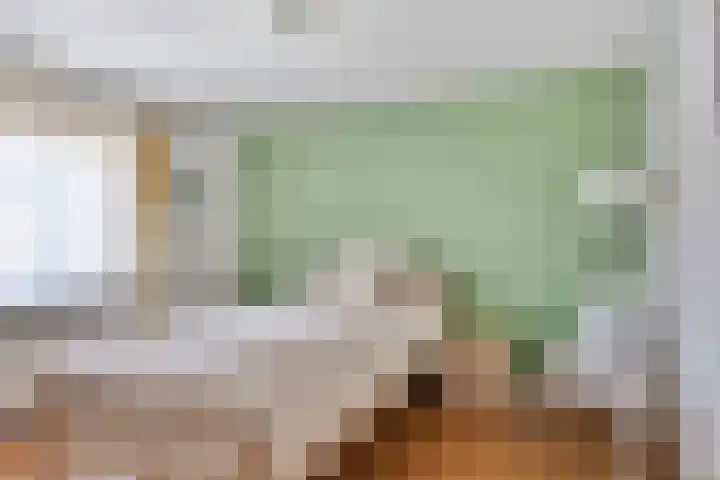Mr. G. Vixseboxsestraat 3 Holten thumbnail 12