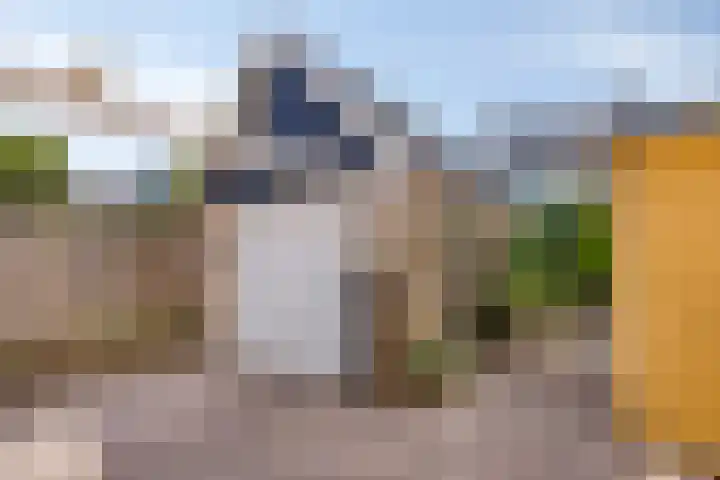 Mr. G. Vixseboxsestraat 3 Holten thumbnail 23