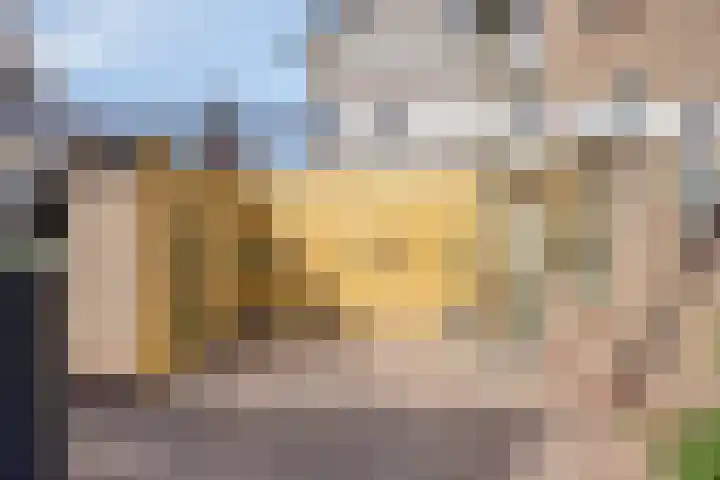 Mr. G. Vixseboxsestraat 3 Holten thumbnail 24