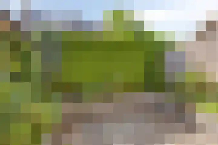 Mr. G. Vixseboxsestraat 3 Holten thumbnail 26