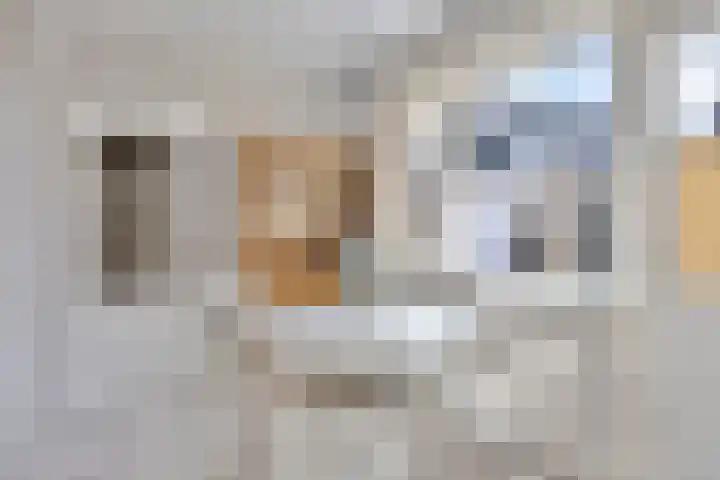 Mr. G. Vixseboxsestraat 3 Holten thumbnail 6