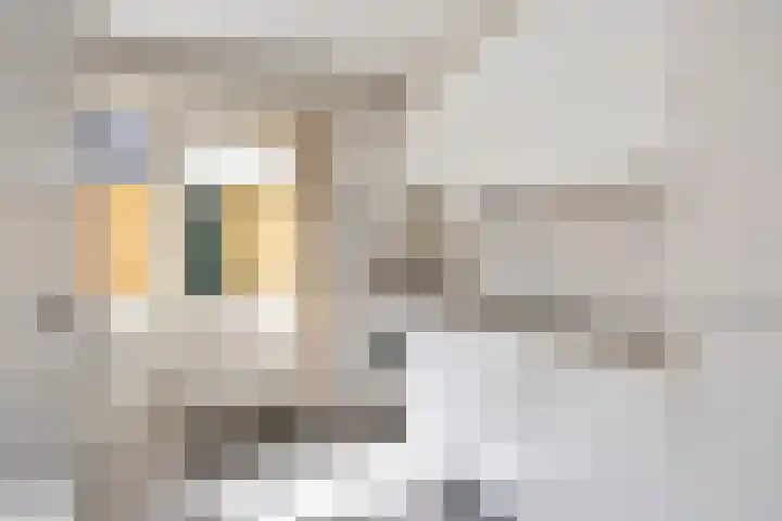 Mr. G. Vixseboxsestraat 3 Holten thumbnail 8