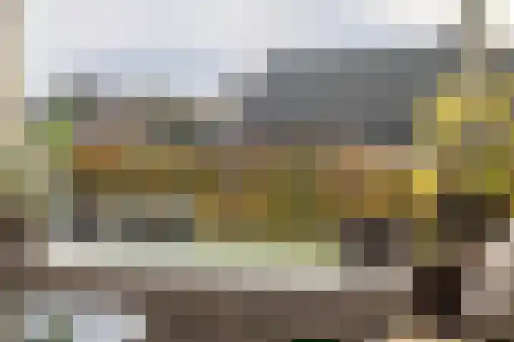 Mr. G. Vixseboxsestraat 33 Holten thumbnail 13