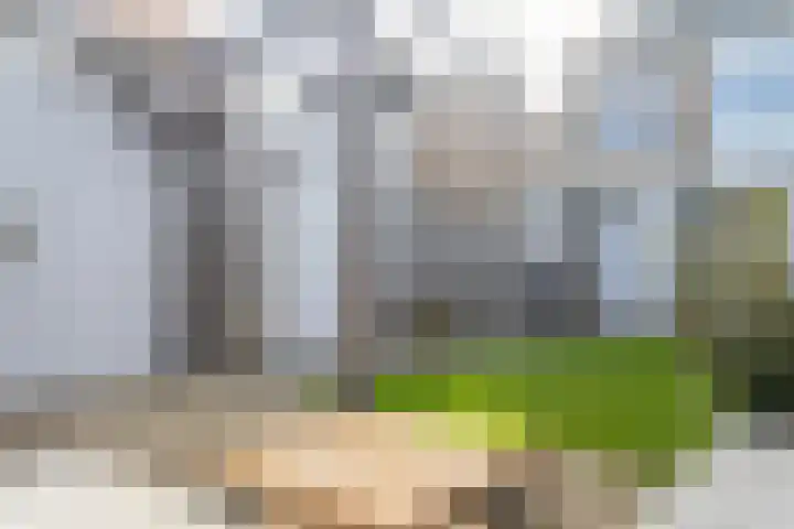 Mr. G. Vixseboxsestraat 33 Holten thumbnail 43