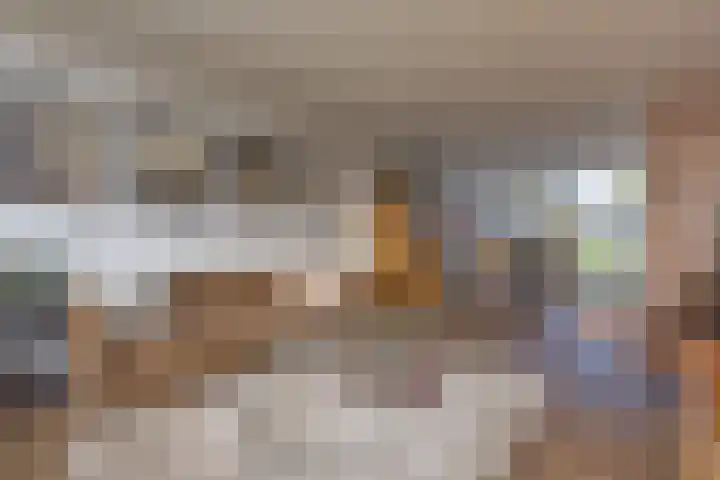 Mr. G. Vixseboxsestraat 33 Holten thumbnail 7