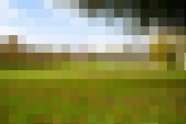 Mr. Gerbrandypark 46 Ede thumbnail 42