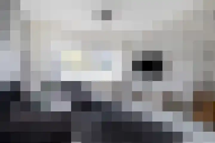 Mr. Groen van Prinstererlaan 84 Assen thumbnail 11