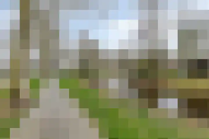 Mr. Groen van Prinstererlaan 84 Assen thumbnail 45