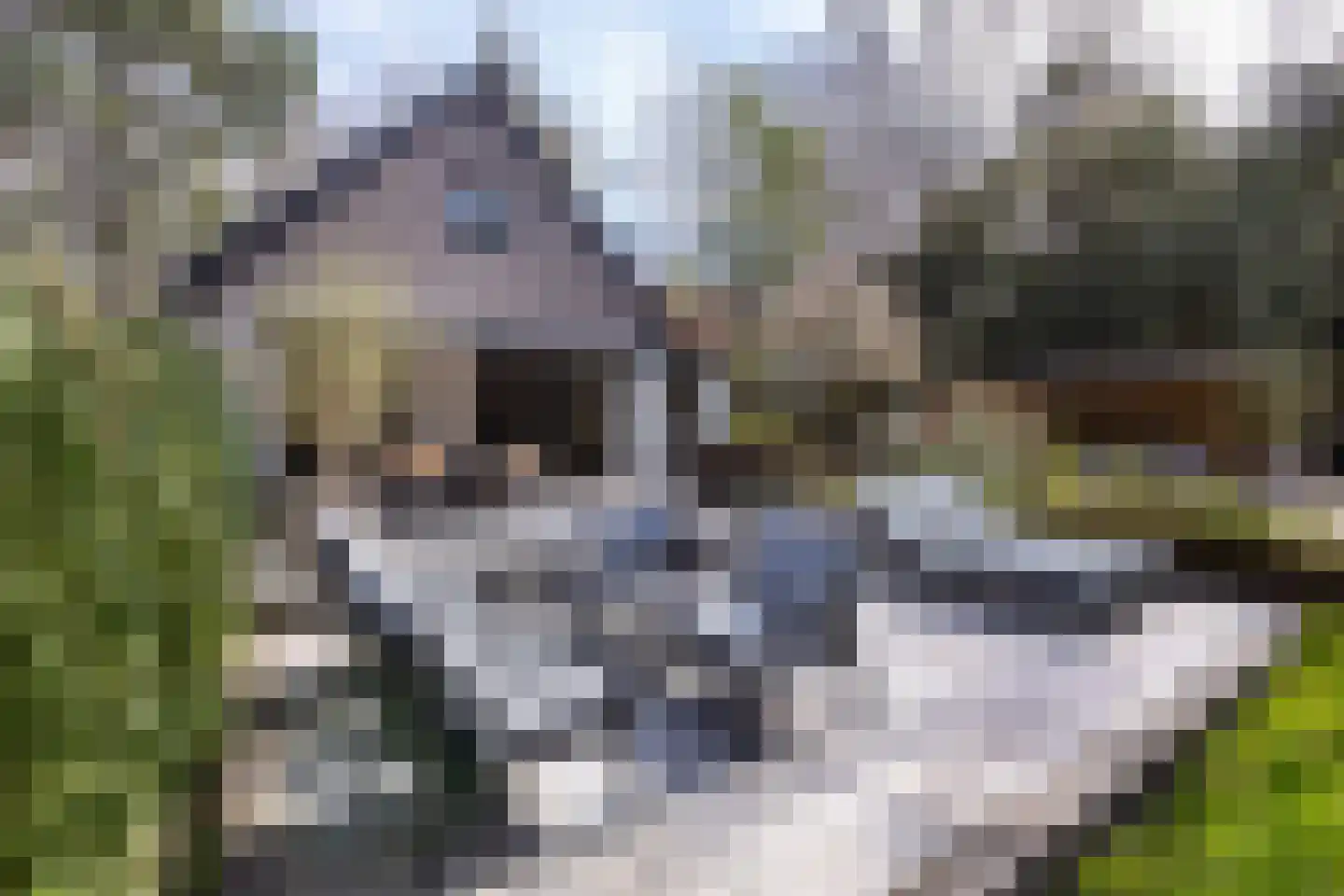 Mr. H. Enschedéweg 5 b Aerdenhout thumbnail 35