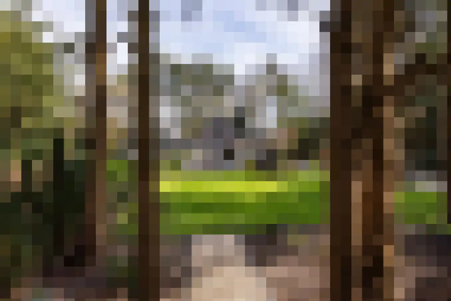 Mr. H. Enschedéweg 5 b Aerdenhout thumbnail 38