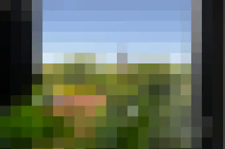 Mr. H.F. de Boerlaan 119 C Deventer thumbnail 21
