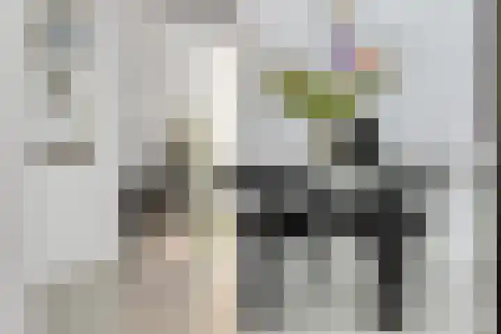 Mr. H.F. de Boerlaan 20 Deventer thumbnail 11