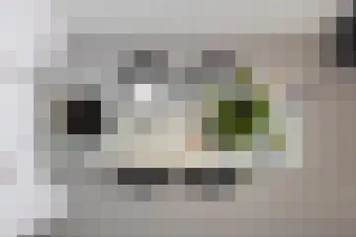 Mr. H.F. de Boerlaan 20 Deventer thumbnail 13