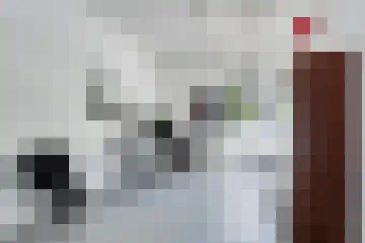 Mr. H.F. de Boerlaan 20 Deventer thumbnail 27