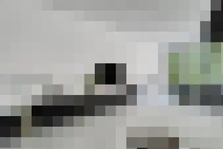 Mr. H.F. de Boerlaan 20 Deventer thumbnail 7