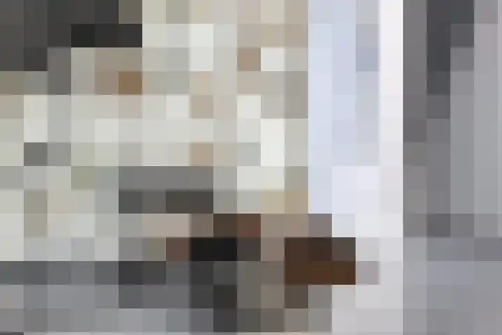 Mr. H.F. de Boerlaan 20 Deventer thumbnail 9