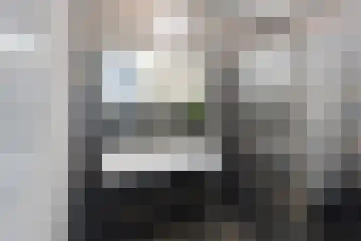 Mr. H.F. de Boerlaan 46 Deventer thumbnail 24