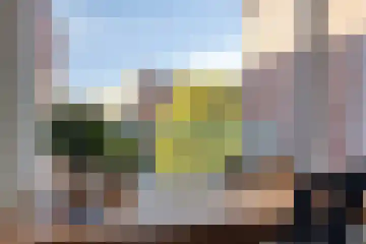 Mr. H.F. de Boerlaan 46 Deventer thumbnail 37