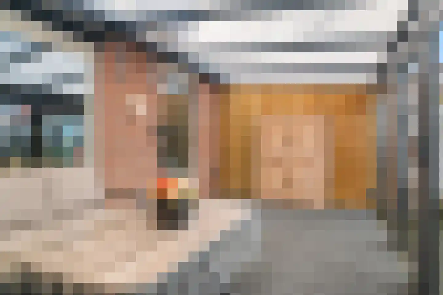 Mr. H.F. de Boerlaan 82 Deventer thumbnail 23