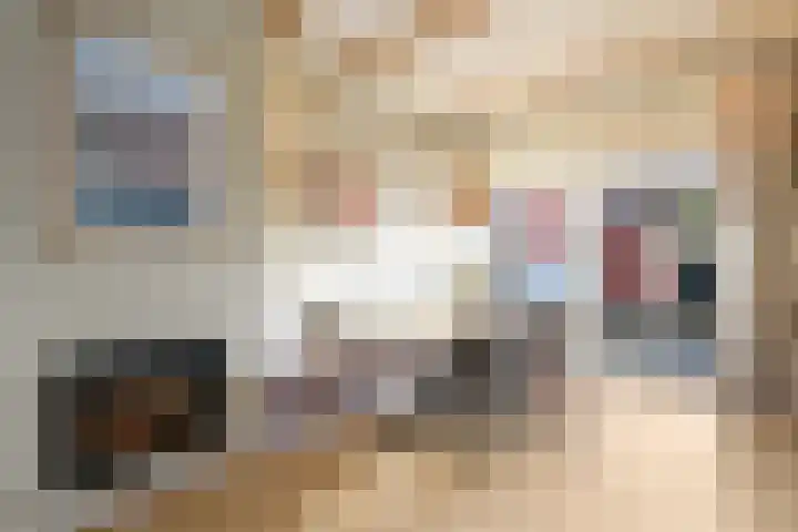 Mr Halbe Binnertsstraat 10 Heerenveen thumbnail 6