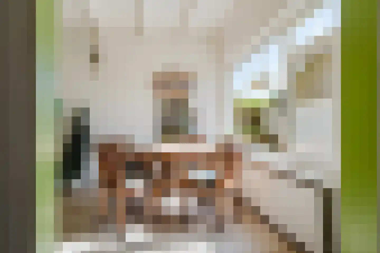 Mr Halbe Binnertsstraat 14 Heerenveen thumbnail 13