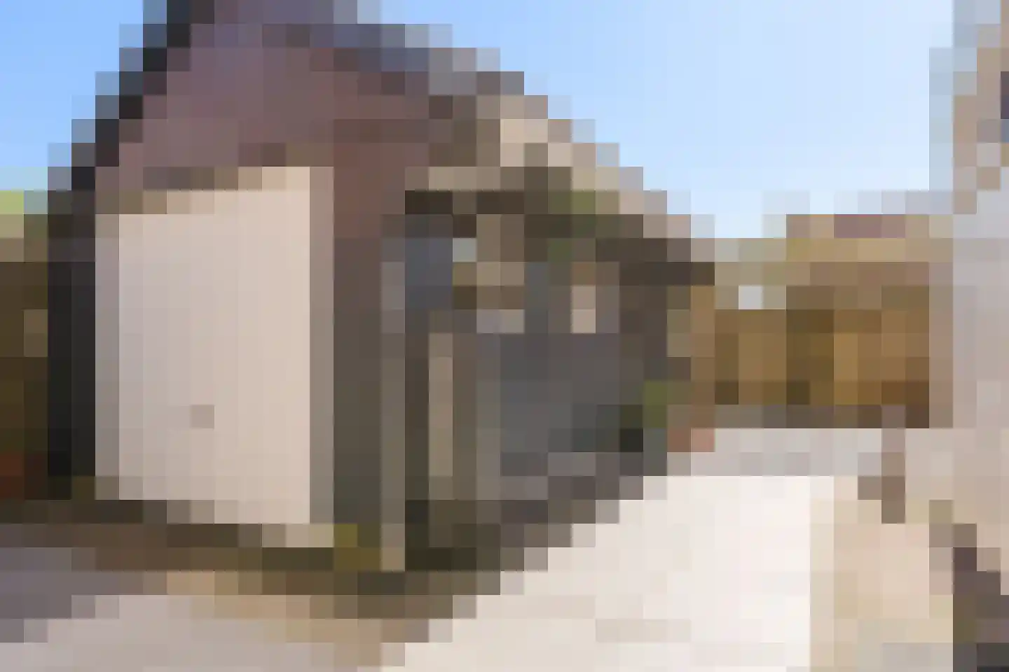Mr Halbe Binnertsstraat 14 Heerenveen thumbnail 35