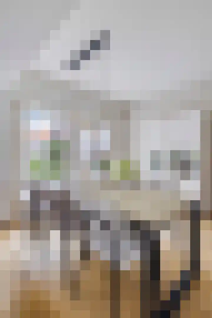 Mr Halbe Binnertsstraat 18 Heerenveen thumbnail 10