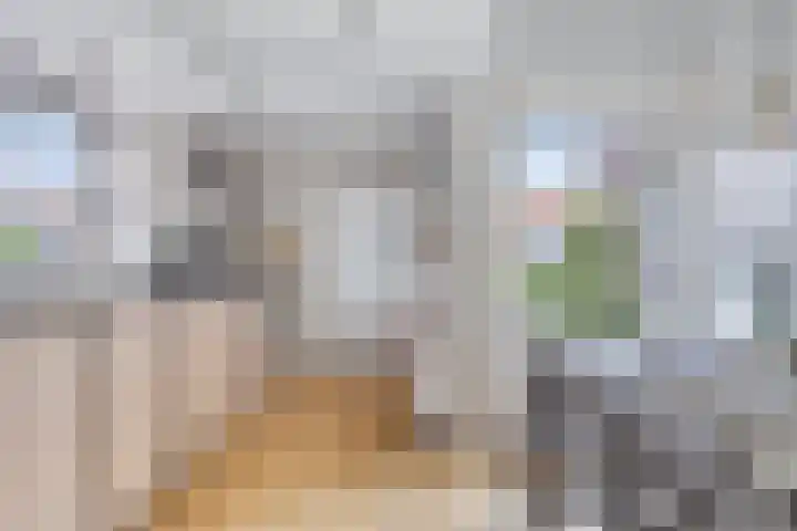 Mr Halbe Binnertsstraat 18 Heerenveen thumbnail 13