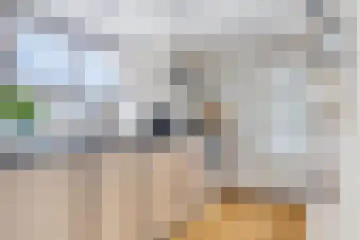 Mr Halbe Binnertsstraat 18 Heerenveen thumbnail 14