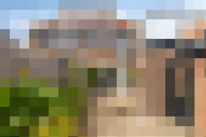Mr Halbe Binnertsstraat 18 Heerenveen thumbnail 32