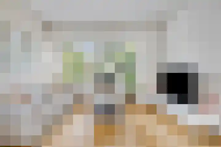Mr Halbe Binnertsstraat 18 Heerenveen thumbnail 7