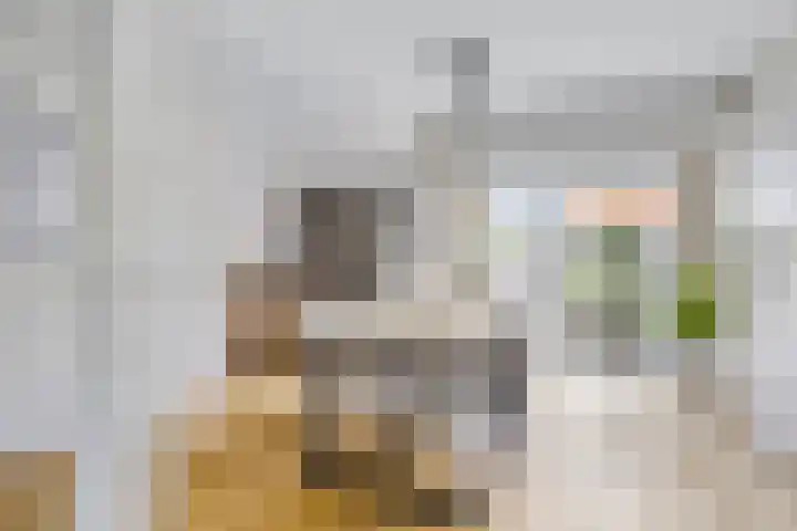 Mr Halbe Binnertsstraat 18 Heerenveen thumbnail 9