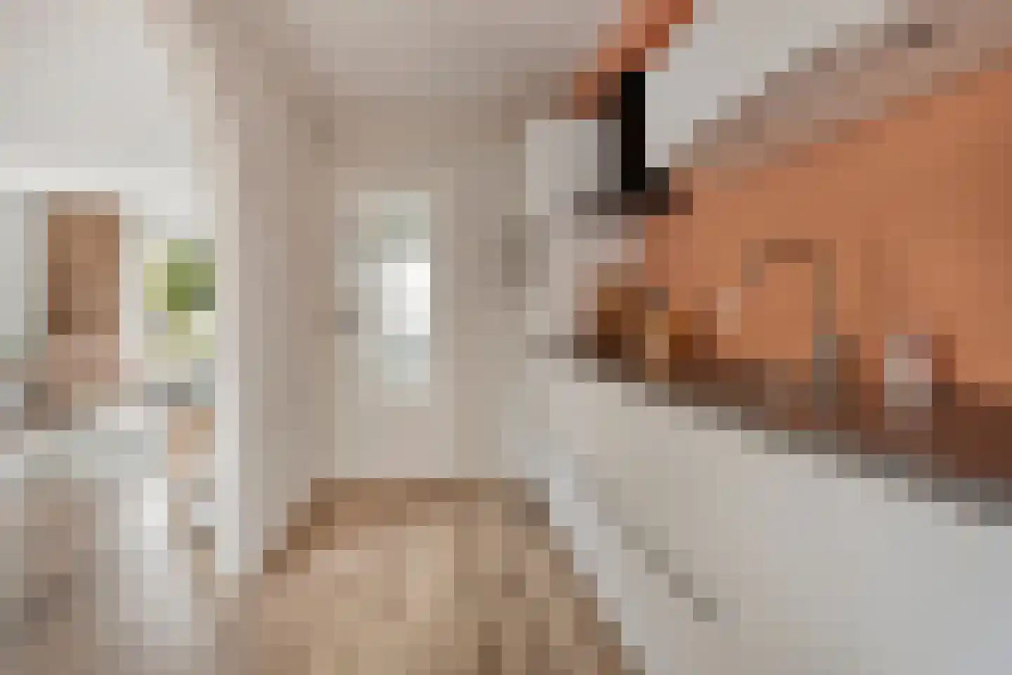 Mr Halbe Binnertsstraat 3 Heerenveen thumbnail 10