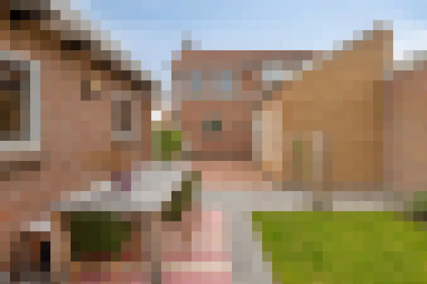 Mr Halbe Binnertsstraat 3 Heerenveen thumbnail 26