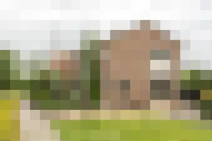 Mr Halbe Binnertsstraat 30 Heerenveen thumbnail 32