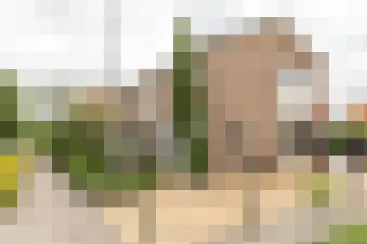 Mr Halbe Binnertsstraat 30 Heerenveen thumbnail 33