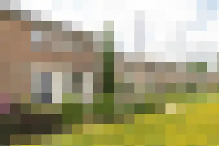 Mr Halbe Binnertsstraat 30 Heerenveen thumbnail 36