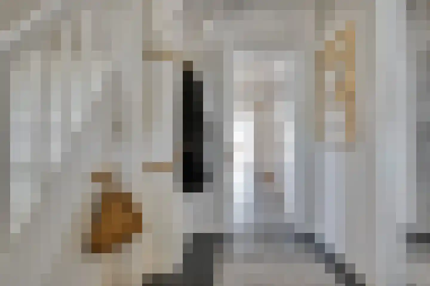 Mr. Harm Smeengestraat 17 Ruinen thumbnail 11