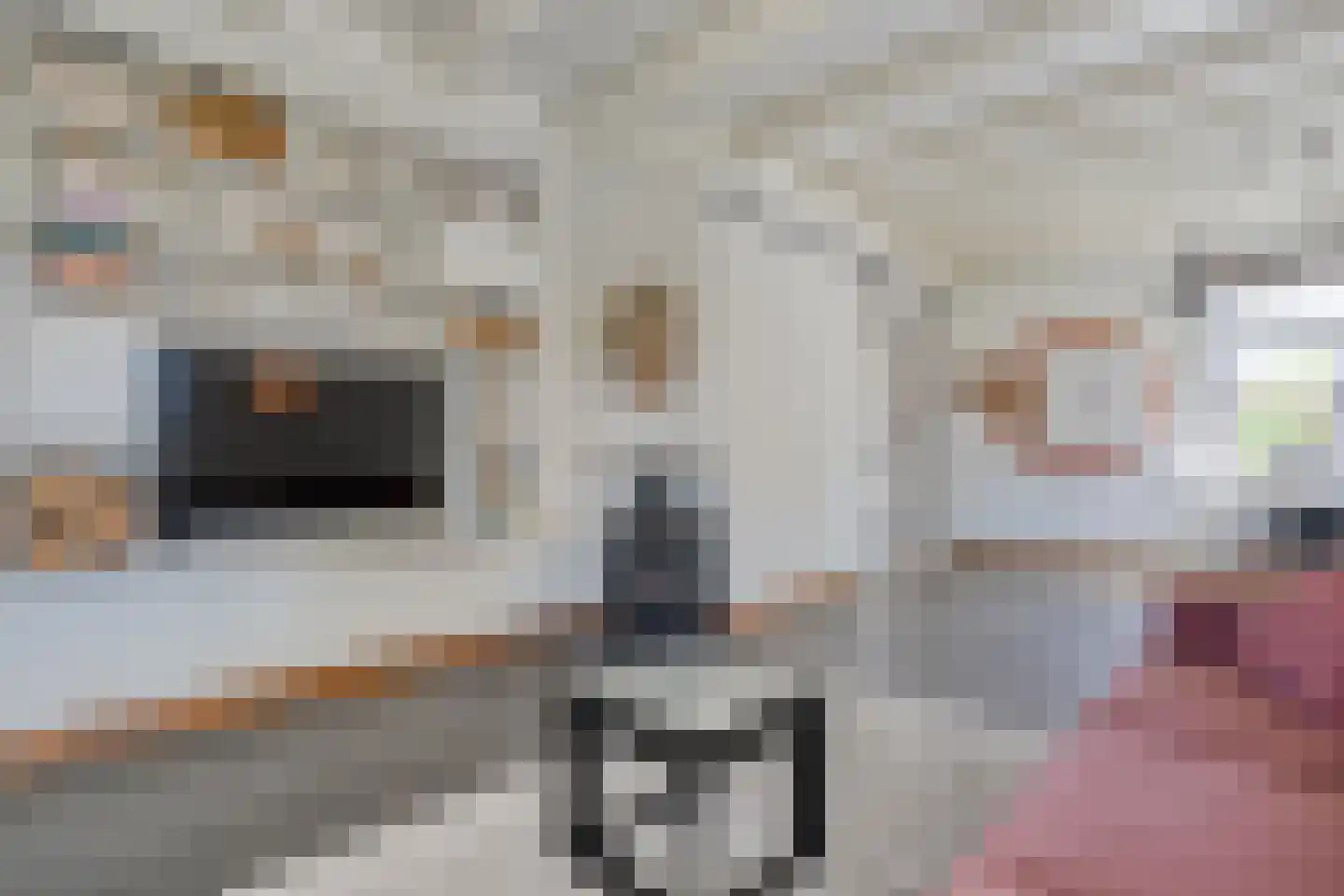 Mr. Harm Smeengestraat 17 Ruinen thumbnail 14