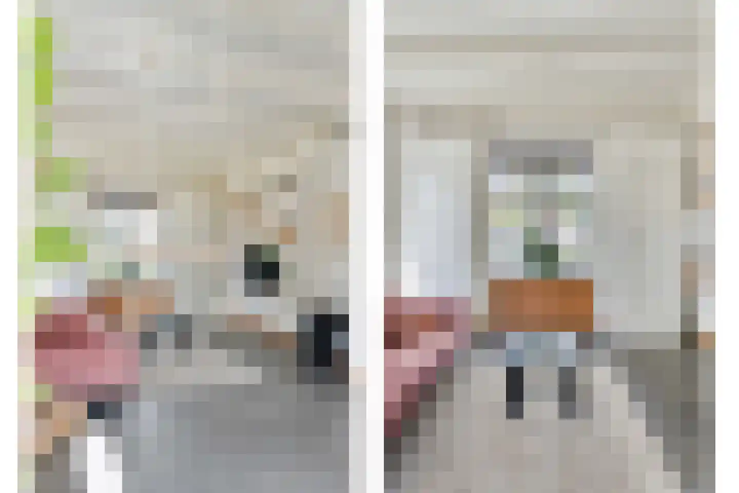 Mr. Harm Smeengestraat 17 Ruinen thumbnail 15
