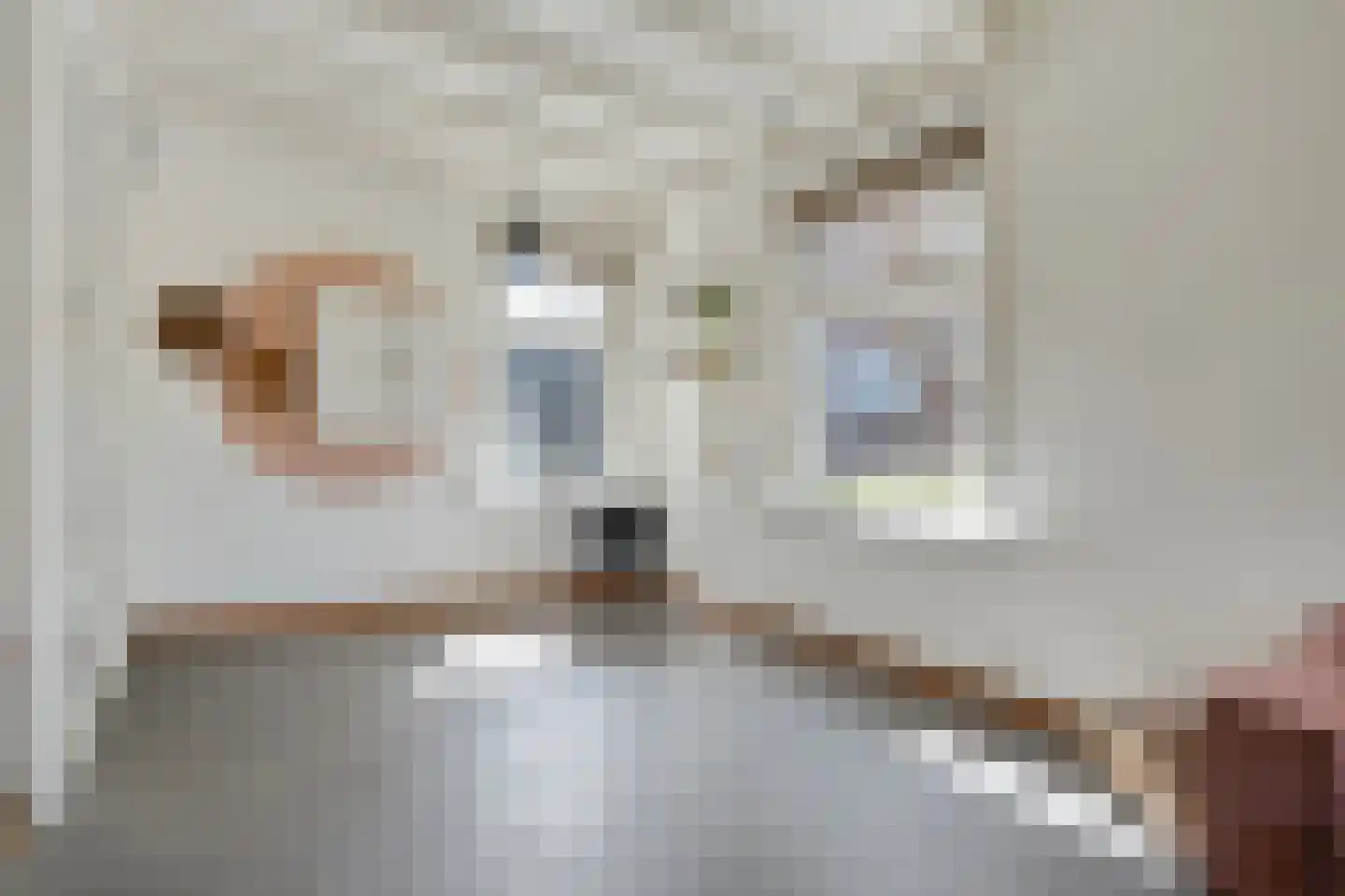 Mr. Harm Smeengestraat 17 Ruinen thumbnail 16