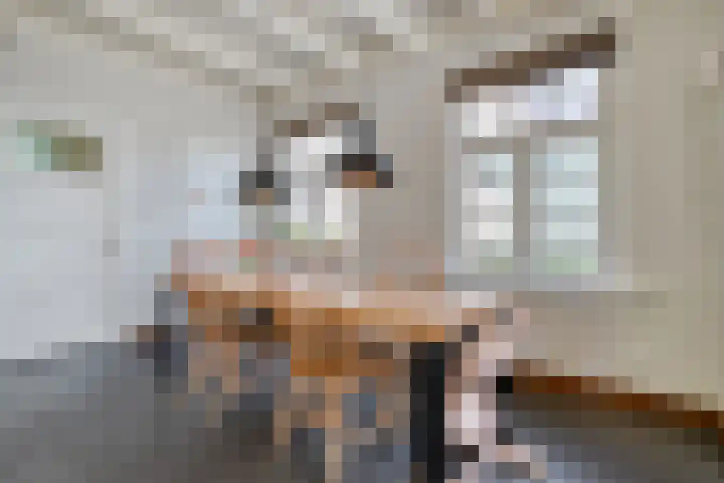 Mr. Harm Smeengestraat 17 Ruinen thumbnail 17