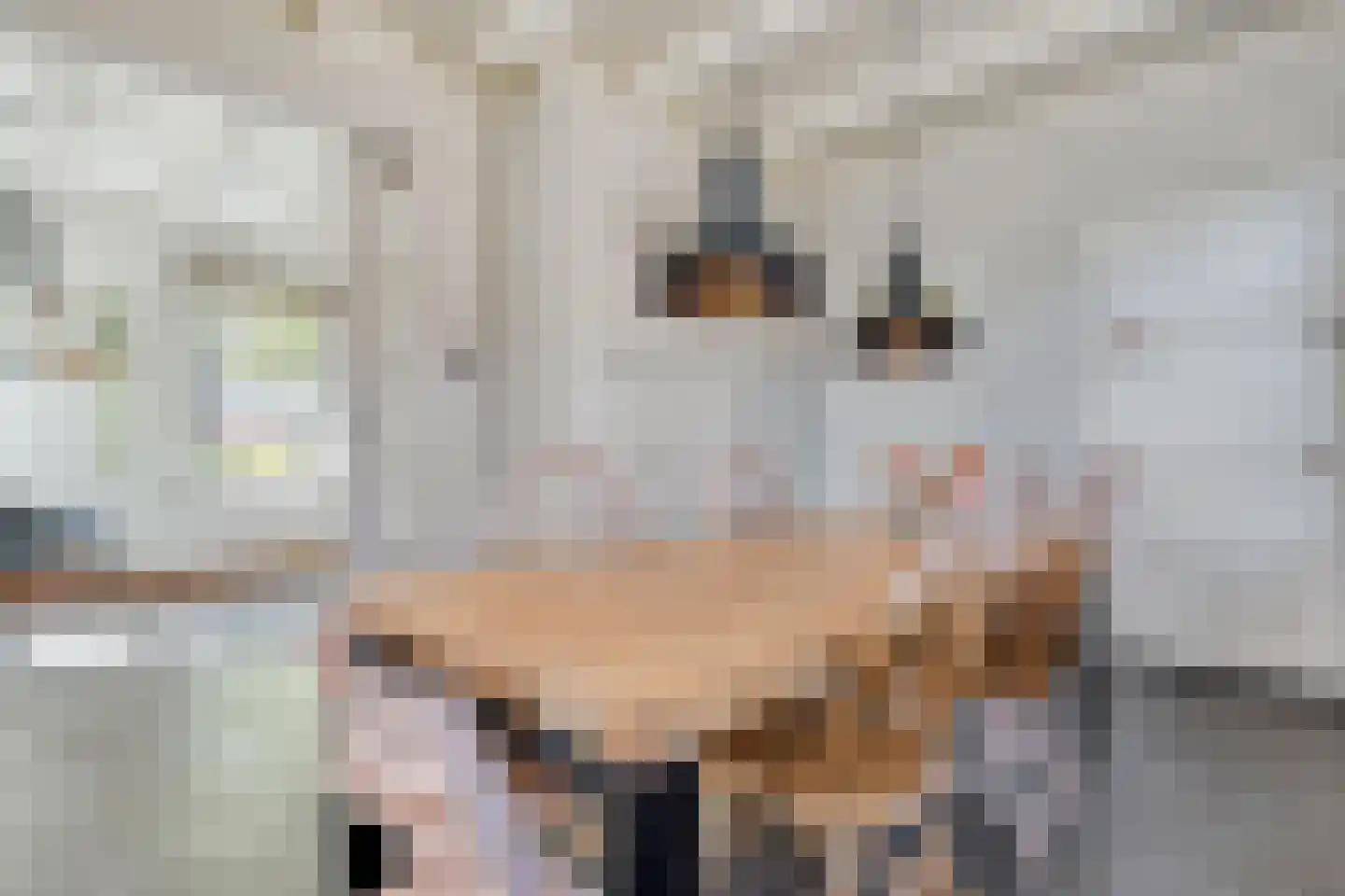 Mr. Harm Smeengestraat 17 Ruinen thumbnail 18