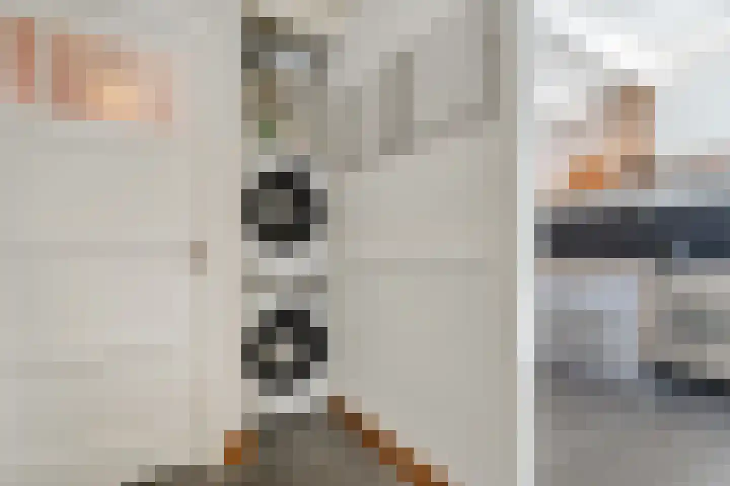 Mr. Harm Smeengestraat 17 Ruinen thumbnail 21