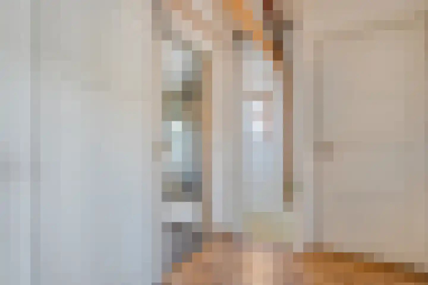 Mr. Harm Smeengestraat 17 Ruinen thumbnail 23