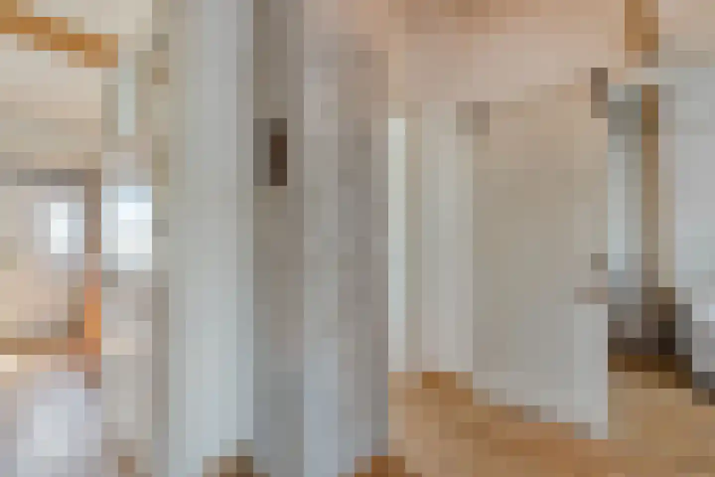 Mr. Harm Smeengestraat 17 Ruinen thumbnail 25