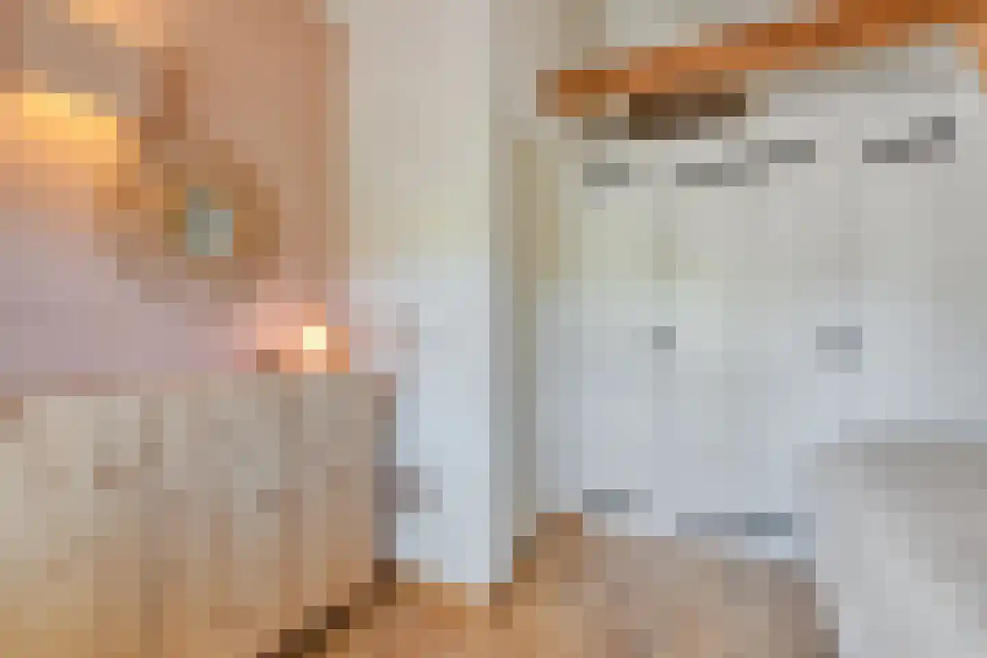Mr. Harm Smeengestraat 17 Ruinen thumbnail 33